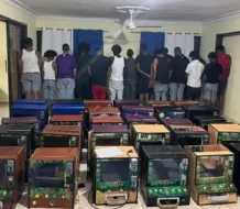 DNCD ocupo 20 mil gramos de drogas en operativo en Capotillo