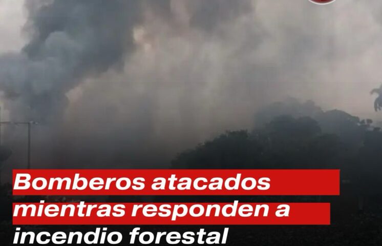 Violencia en medio del deber: Bomberos atacados mientras responden a incendio forestal en El Valle