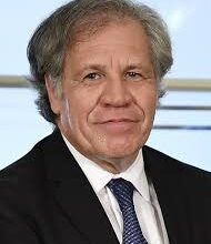 El Secretario General de la OEA, Luis Almagro, designo al jefe de la Misión Electoral