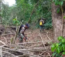 Apresan hombre hirió y robó arma a guardaparque en Los Haitises