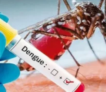 Brasil bate su récord histórico de casos de dengue con más de 1,88 millones de contagios