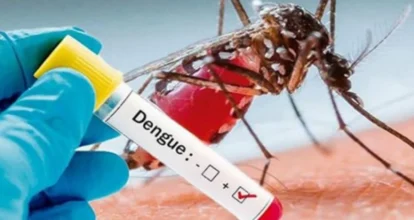 Brasil bate su récord histórico de casos de dengue con más de 1,88 millones de contagios