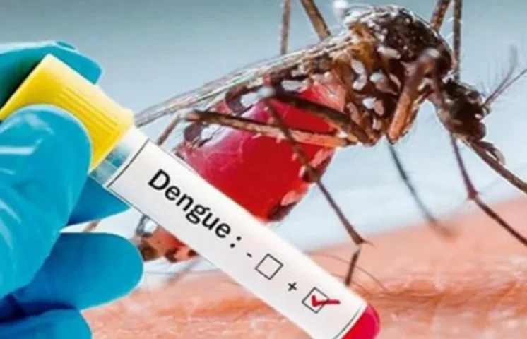 Brasil bate su récord histórico de casos de dengue con más de 1,88 millones de contagios