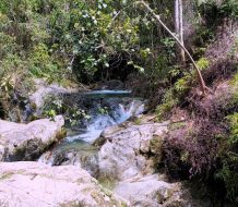 Medio Ambiente recuerda a ciudadanía la importancia de cuidar la naturaleza en Semana Santa