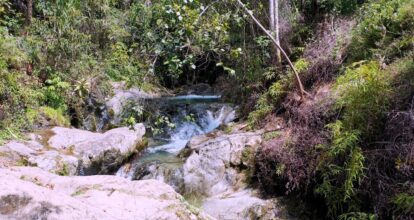 Medio Ambiente recuerda a ciudadanía la importancia de cuidar la naturaleza en Semana Santa