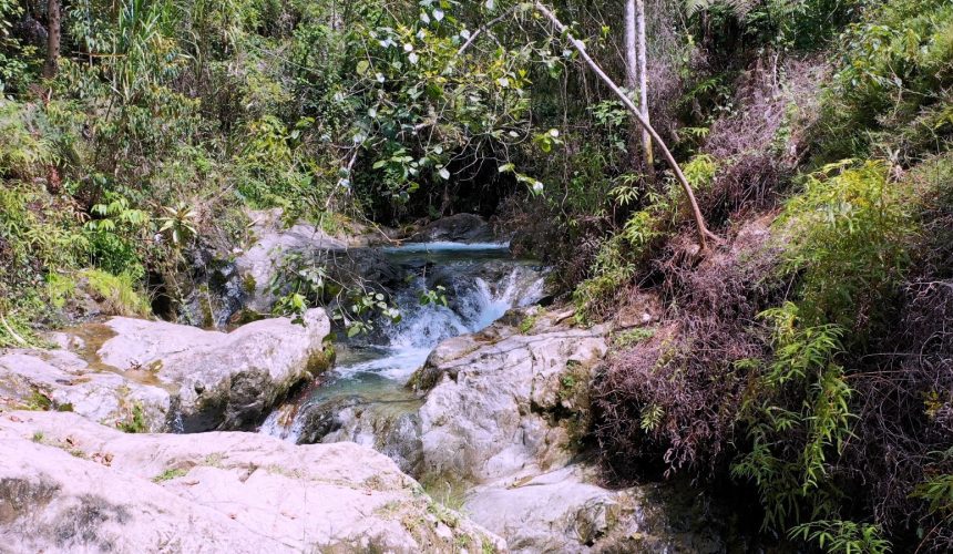 Medio Ambiente recuerda a ciudadanía la importancia de cuidar la naturaleza en Semana Santa
