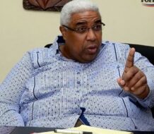 Peña Guaba ante anuncio de Rescate RD: ‘No nos van a agarrar asando batata’