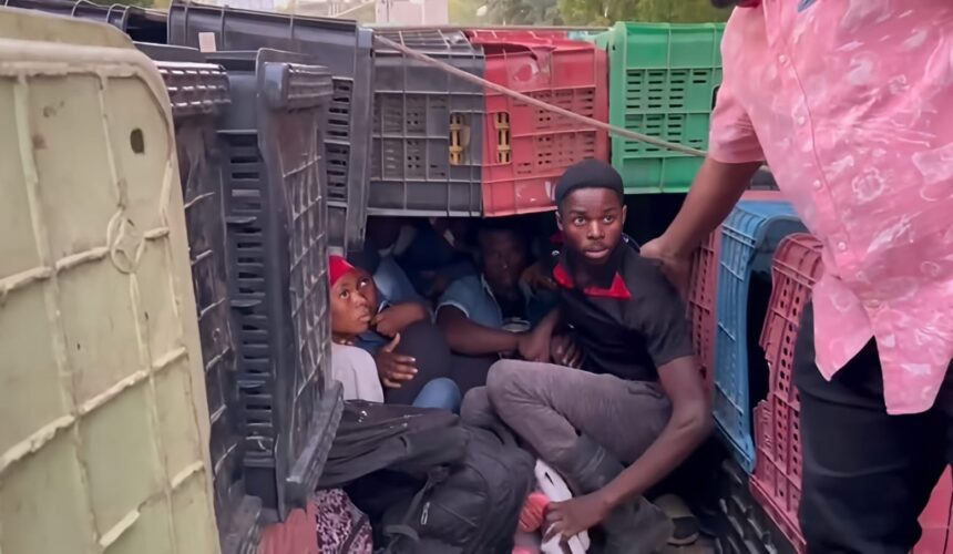 Detienen 12 haitianos que eran transportados debajo de huacales de guineos en Montecristi