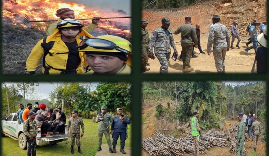 Senpa informa apresó 458 personas y retuvo 132 vehículos por daños al medio ambiente en mes de marzo