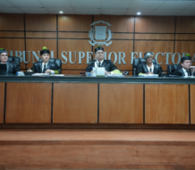 TSE afirma no ha acogido acción de amparo contra ANJE y Leonel