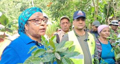 Medio Ambiente e Indocafe iniciaron programa de reforestación en la montañosa comunidad de Paradero.