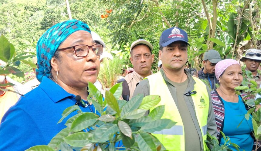 Medio Ambiente e Indocafe iniciaron programa de reforestación en la montañosa comunidad de Paradero.