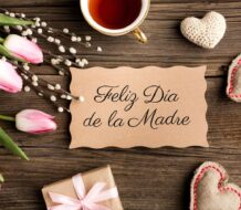 Feliz Día de las Madres dominicanas