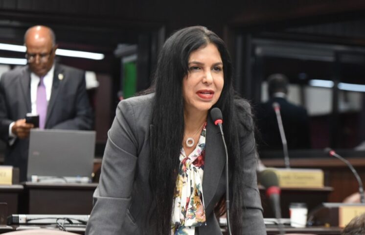 Condenan a cinco años de prisión a la diputada Rosa Amalia Pilarte por lavado de activos