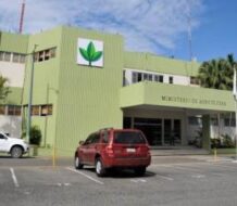 Envían a juicio de fondo implicados en desfalco del Ministerio de Agricultura