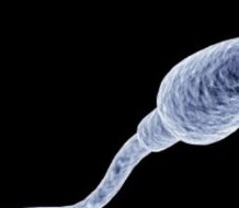 Científicos identifican microplásticos en semen humano, hasta ocho polímeros distintos