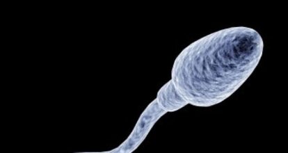 Científicos identifican microplásticos en semen humano, hasta ocho polímeros distintos