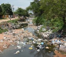 Alerta de Crisis Ambiental: Fuerza del Pueblo reflexiona en el Día Mundial del Medio Ambiente