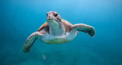 La Unesco alerta del deterioro acelerado de los océanos por el cambio climático