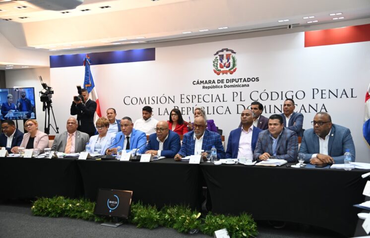 Comisión Especial de la Cámara de Diputados escuchó opiniones de más de 100 personas sobre el Código Penal