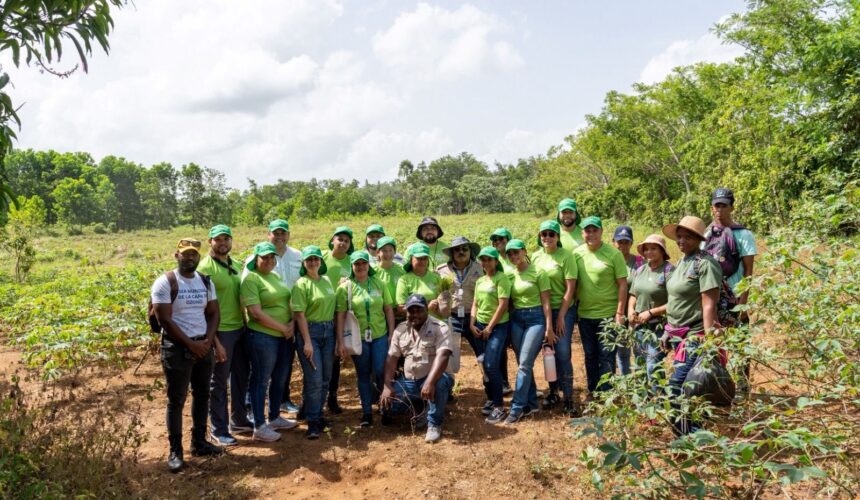 Siempre por un Mundo Mejor:Dos Pinos realiza jornada de reforestación en el mes de Medio Ambiente