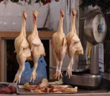Detallistas proponen estrategia para bajar precio pollo a 70 pesos la libra