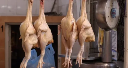 Detallistas proponen estrategia para bajar precio pollo a 70 pesos la libra