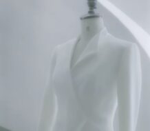 Descripción vestimenta para la vicepresidenta Raquel Peña en los actos de la toma de posesión