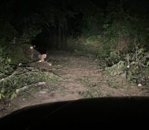 Fuertes lluvias provocan derrumbe de viviendas y dejan comunidades incomunicadas en Elías Piña