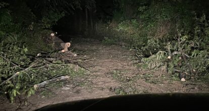 Fuertes lluvias provocan derrumbe de viviendas y dejan comunidades incomunicadas en Elías Piña