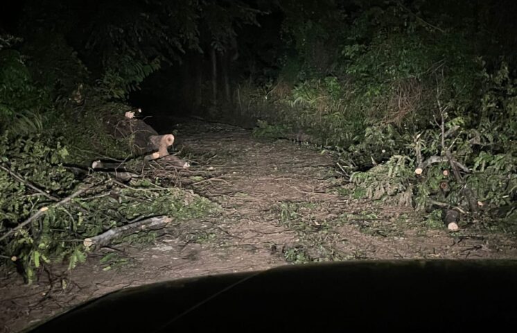 Fuertes lluvias provocan derrumbe de viviendas y dejan comunidades incomunicadas en Elías Piña