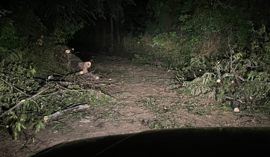 Fuertes lluvias provocan derrumbe de viviendas y dejan comunidades incomunicadas en Elías Piña