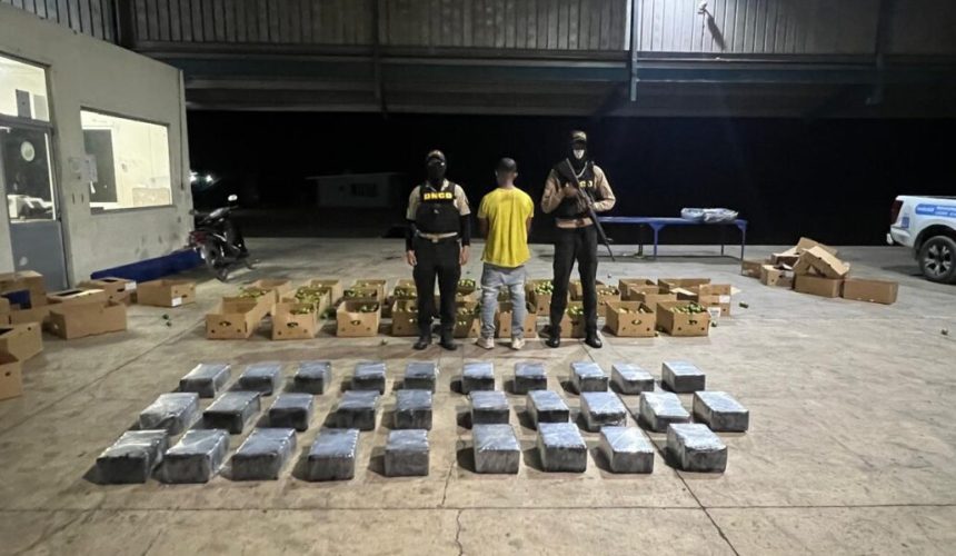Apresan a un hombre y frustran envío de 201 paquetes de presunta cocaína en el puerto de Manzanillo