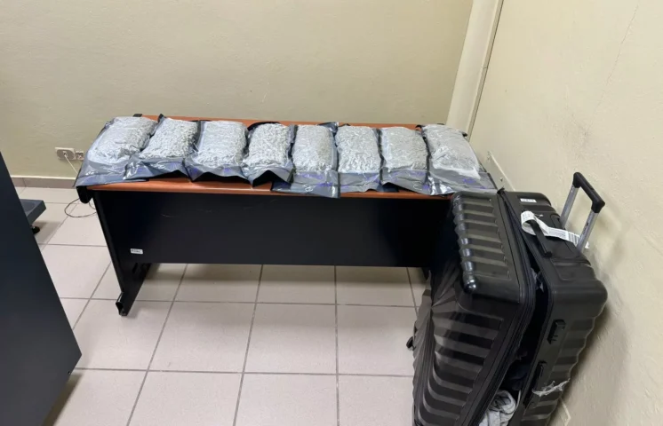 DNCD incauta ocho paquetes de presunta marihuana en Aeropuerto Cibao