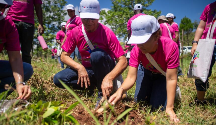 Colchonería y Mueblería La Nacional lleva jornada de reforestación en Loma Guaigüí, La Vega