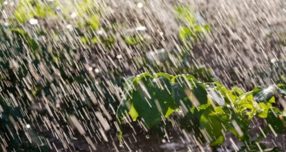 Vaguada y onda tropical generarán aguaceros y tronadas, según Indomet