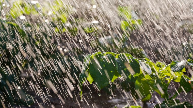 Vaguada y onda tropical generarán aguaceros y tronadas, según Indomet