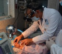 Hospitales del SNS reducen 30% mortalidad neonatal con relación al 2023