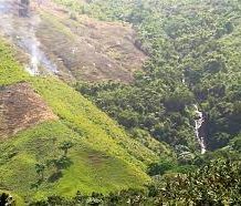 El Ministerio de Medio Ambiente interviene proyecto agrícola ilegal en Loma Siete Picos