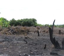 Academia de Ciencias vuelve alzar la voz por las Dunas