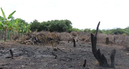Academia de Ciencias vuelve alzar la voz por las Dunas
