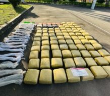 Apresan seis hombres y confiscan 96 pacas con 989 libras de marihuana en Santiago