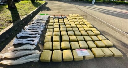 Apresan seis hombres y confiscan 96 pacas con 989 libras de marihuana en Santiago