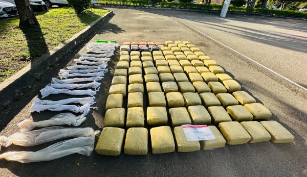 Apresan seis hombres y confiscan 96 pacas con 989 libras de marihuana en Santiago