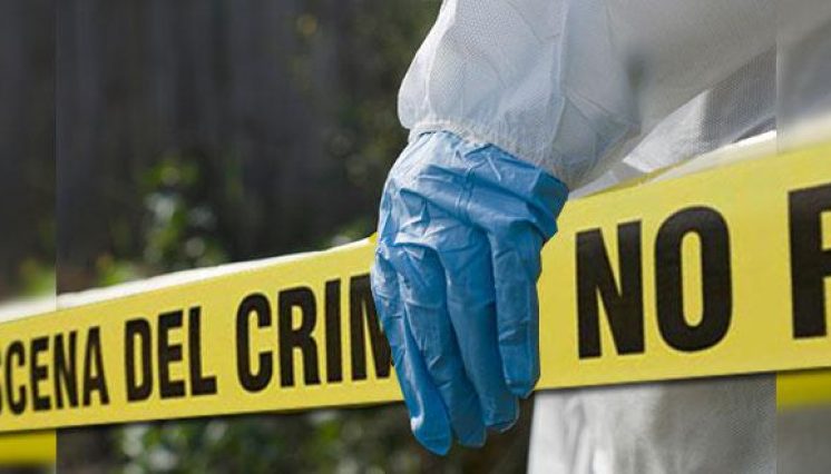 Autoridades tiemblan; al menos siete agentes asesinados a manos de delincuentes  