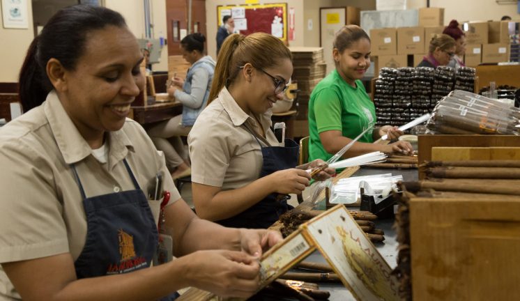 Gobierno anuncia que se crearon más de 172 mil empleos en 2024 y el promedio salarial incremento un 37.5%