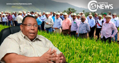 ¿Cómo beneficiará a productores arroceros el decreto del Gobierno sobre DR CAFTA?
