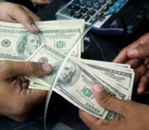 Dominicanos en el exterior motor económico para el desarrollo de RD