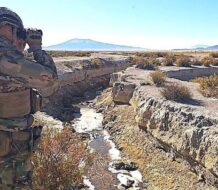 Bolivia despliega más de 8.000 militares en las fronteras para frenar el contrabando de alimentos