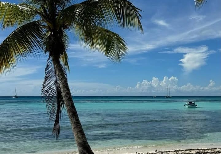 Indomet prevé temperaturas frescas para este domingo
